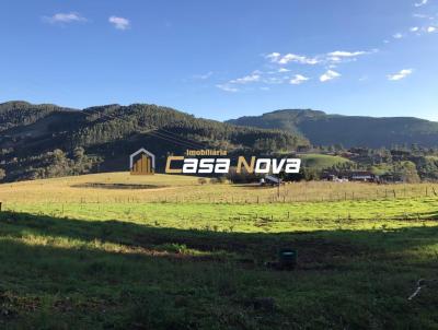 Fazenda para Venda, em Faxinal dos Guedes, bairro 