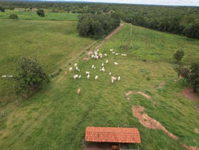 Fazenda para Venda, em Cuiab, bairro LEONOR