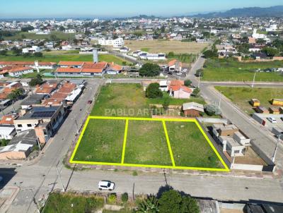 imagem-miniatura