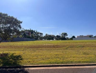 Terreno para Venda, em Iguaraçu, bairro Alphaville Maringá