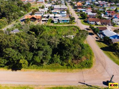 imagem-miniatura