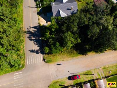 Terreno para Venda, em Nova Petrpolis, bairro Vila Germnia