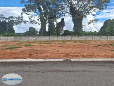 Terreno para Venda, em Guaransia, bairro A consultar