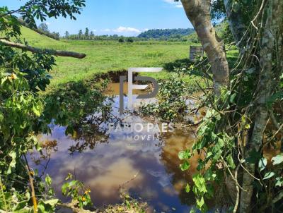 Fazenda para Venda, em Cachoeiras de Macacu, bairro Papucaia
