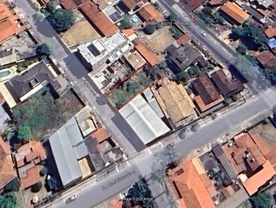 imagem-miniatura