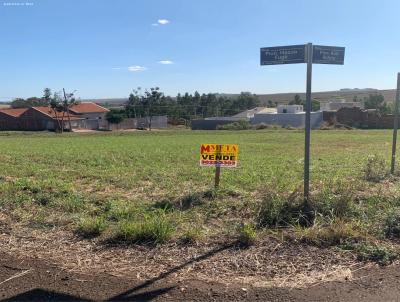 Terreno para Venda, em Floresta, bairro Centro