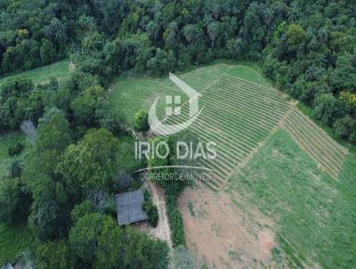 Fazenda para Venda, em Baldim, bairro rea Rural