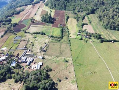 Stio / Chcara para Venda, em Nova Petrpolis, bairro Linha Araripe