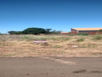 imagem-miniatura