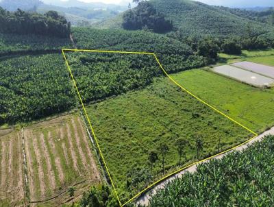 Terreno para Venda, em São João do Itaperiú, bairro Centro