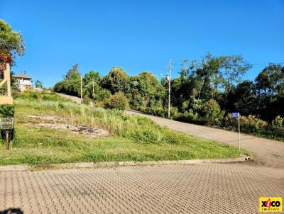 Terreno para Venda, em Nova Petrpolis, bairro Linha Imperial