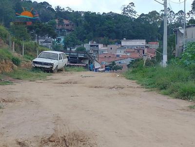 imagem-miniatura