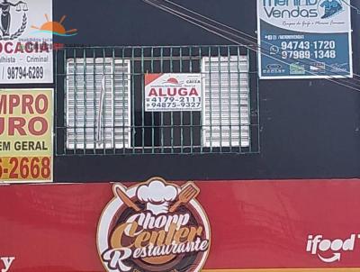 imagem-miniatura