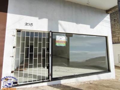 Comercial para Locao, em Alfenas, bairro Vila Betnia, 1 banheiro