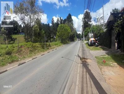 rea Comercial para Venda, em Itapecerica da Serra, bairro Da Lagoa, 4 banheiros, 2 sutes, 8 vagas