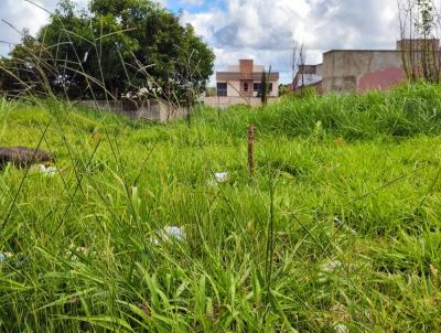 Lote para Venda, em Goinia, bairro Jardim So Jos