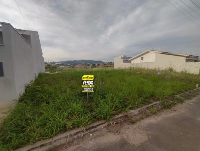 Terreno para Venda, em Santo Antnio da Platina, bairro RES ROBERTO RENNO