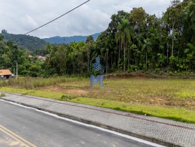 Terreno para Venda, em Timb, bairro Araponguinhas
