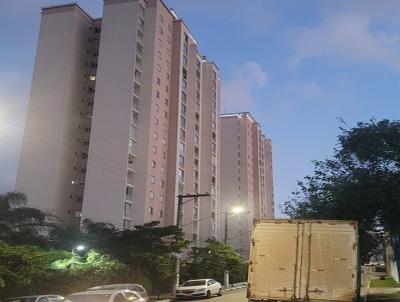 imagem-miniatura