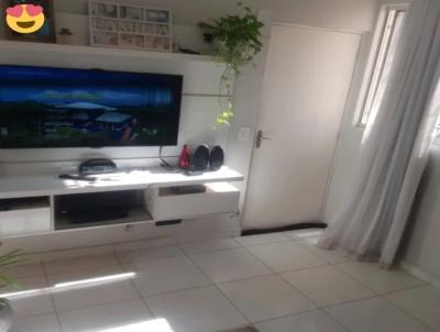 imagem-miniatura