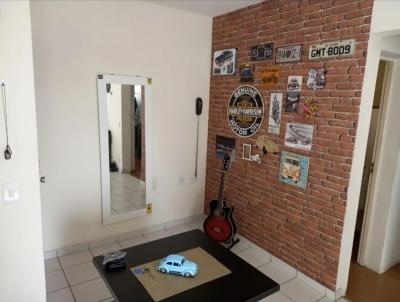 imagem-miniatura
