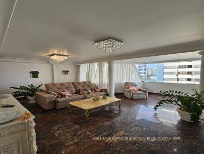imagem-miniatura