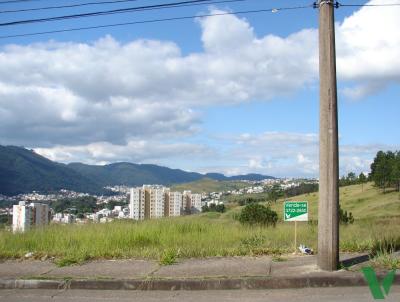 imagem-miniatura