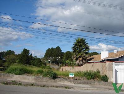 imagem-miniatura
