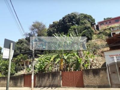 Terreno para Venda, em Belo Horizonte, bairro Padre Eustquio