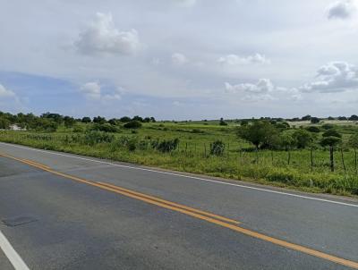 Lote para Venda, em Pilar, bairro Centro