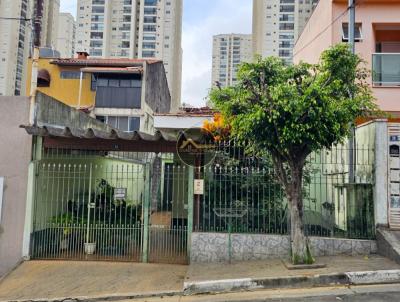 imagem-miniatura