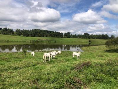 Fazenda para Venda, em Esmeraldas, bairro A Definir Em Campo