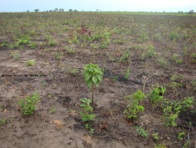 Fazenda para Venda, em So Bernardo, bairro Zona Rural