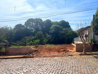 imagem-miniatura