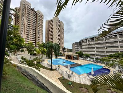 imagem-miniatura