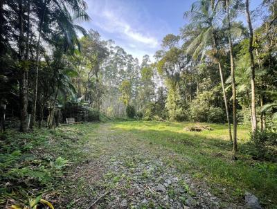 Stio para Venda, em Benedito Novo, bairro Santa Maria