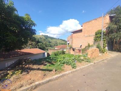 Terreno para Venda, em Botelhos, bairro SANTA CRUZ