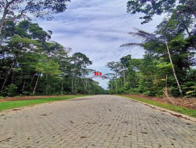 Lote para Venda, em Manaus, bairro Tarum
