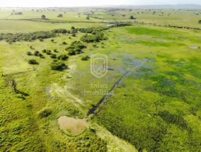 Fazenda para Venda, em Itabaiana, bairro Aeroclube