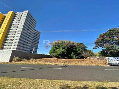 Terreno para Venda, em Votuporanga, bairro 1 Distrito Industrial