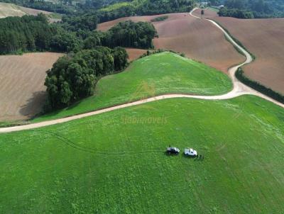 Área para Venda, em Araucária, bairro Roça Velha