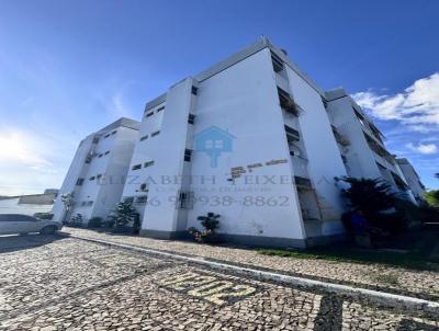 imagem-miniatura