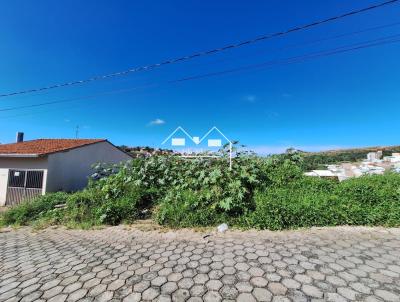 Lote para Venda, em , bairro Accio Ribeiro
