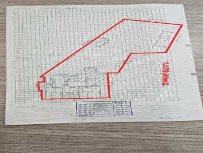 Terreno Comercial para Venda, em Carmo do Paranaba, bairro CENTRO