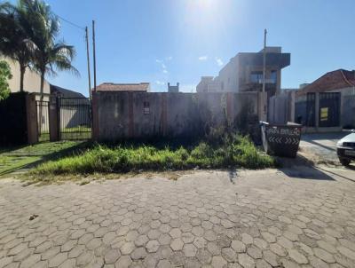 imagem-miniatura