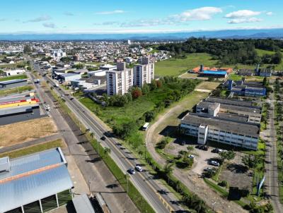 imagem-miniatura