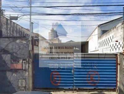 imagem-miniatura