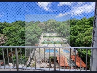 imagem-miniatura
