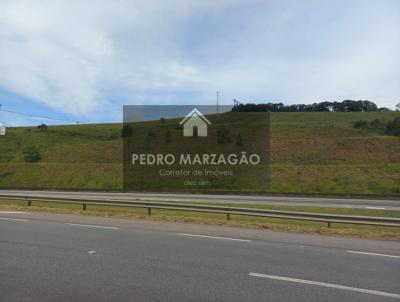 rea para Venda, em , bairro Prados