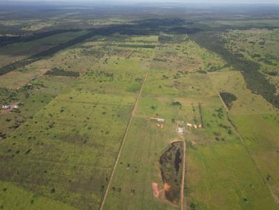 Fazenda para Locao, em Santo Antnio do Leverger, bairro ARIC